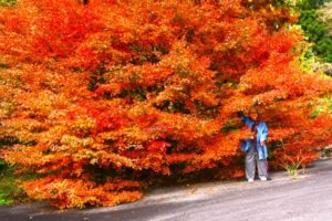 私と紅葉は良くにていますねー、同年齢かも?